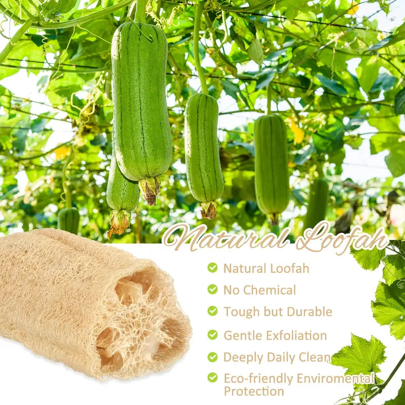 Natural Loofah Sponge in UK