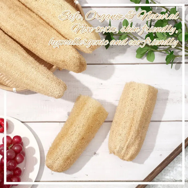 Natural Loofah Sponge in UK